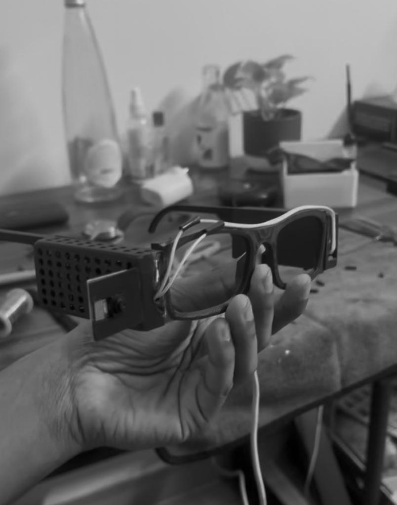 3D Printed Working Model